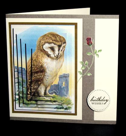The Wise Old Owl. Oblong Pyramid by Dianne Jackson