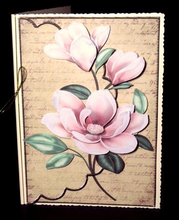 Envelop Beautiful Camelia by Dianne Jackson