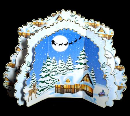 Triple Layer Gatefold - Snow Fun by Dianne Jackson