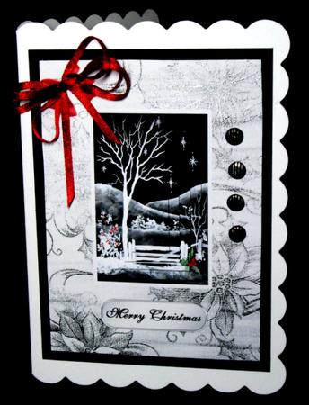 Black & White Winter Scene by Dianne Jackson