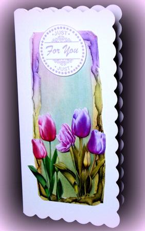 Three Beautiful Tulip Toppers by Dianne Jackson