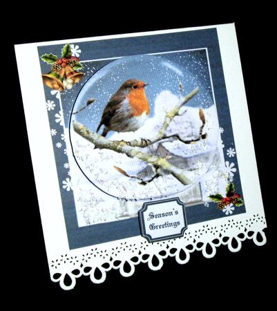 Christmas Robin by Dianne Jackson