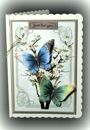 Oriental Butterflies by Dianne Jackson