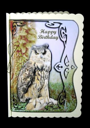 Birthday Owl by Dianne Jackson