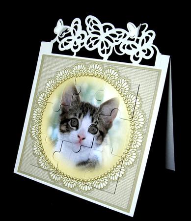 Kitten in a Frame by Dianne Jackson