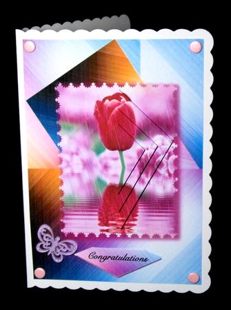 One Tulip by Dianne Jackson