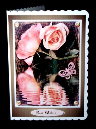 Rose by the Water by Dianne Jackson