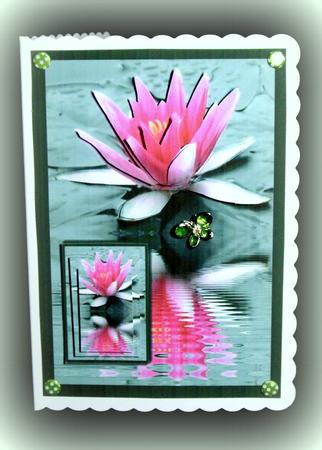 Lilly 2 by Dianne Jackson