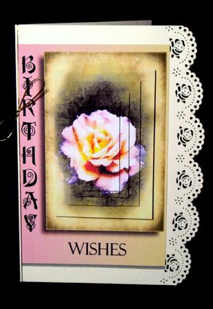 Old Rose Birthday by Dianne Jackson