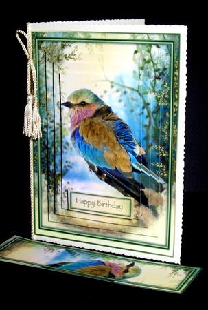 Morning Bird Mini Kit by Dianne Jackson