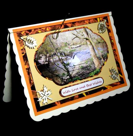 Woodland River Scene by Dianne Jackson