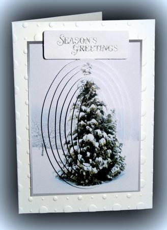 Snowy Cypress Tree by Dianne Jackson