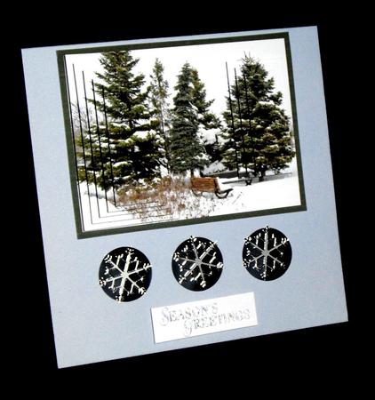 4trees in the Park by Dianne Jackson
