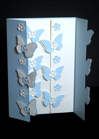 Butterfly Gatefold by Dianne Jackson