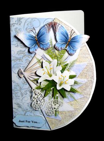Fan Over the Edge by Dianne Jackson