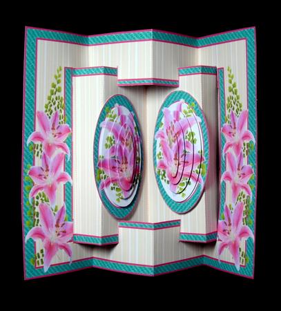 3D Double Concertina Pop-out  by Dianne Jackson
