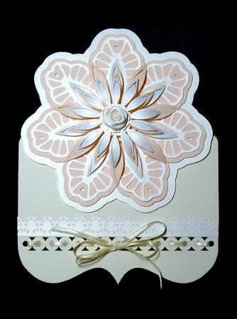 Fancy Card 8 & Box Wrap by Dianne Jackson