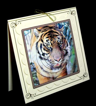 Tiger Pyramid by Dianne Jackson