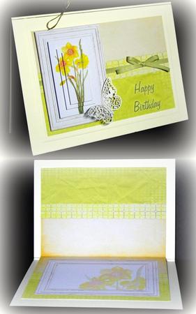 Daffodil Insert 1 - Peach & Pistachio by Dianne Jackson