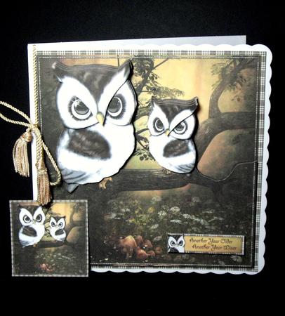 Just the Twoo of Us Mini Kit by Dianne Jackson