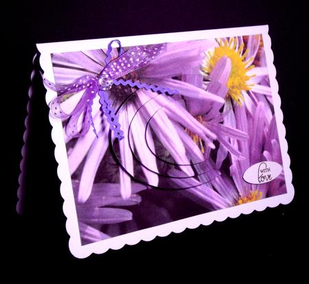 Purple Aster Flowers Oval Pyramid by Dianne Jackson