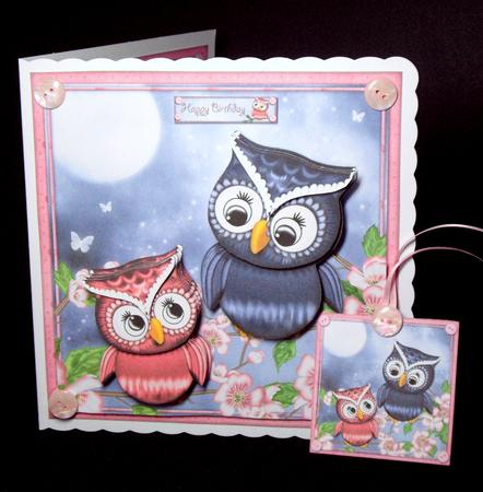 I`ll Take You Under My Wing Mini Kit by Dianne Jackson