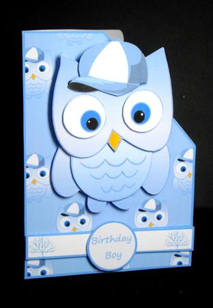 Baby Boy Owl/birthday by Dianne Jackson