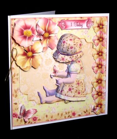 The Butterfly Collector Little Girl by Dianne Jackson