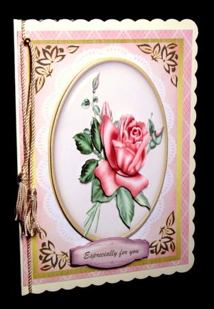 Lovely Pink Rose on a Bevel Frame by Dianne Jackson
