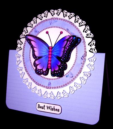 Purple Butterfly by Dianne Jackson