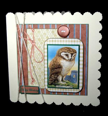 Owl Card Front with a Topper and Decoupage by Dianne Jackson