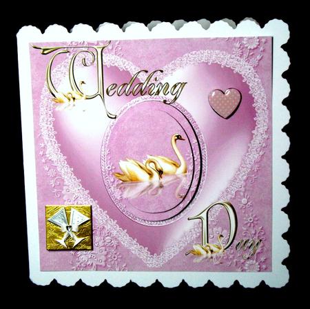 Pink Wedding Day Swans by Dianne Jackson