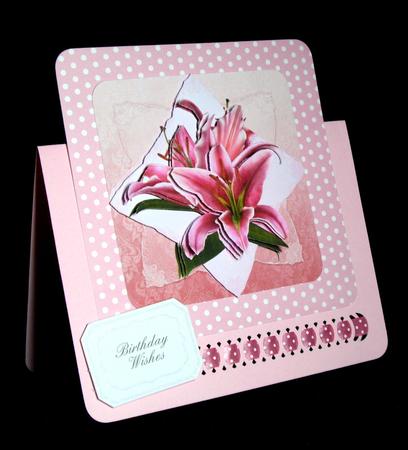 Stargazer Lilies Step by Step by Dianne Jackson