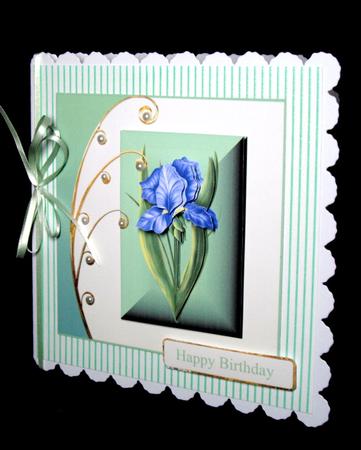 Summertime Iris by Dianne Jackson