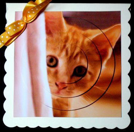 Curious Kitten Painting Circle Pyramid by Dianne Jackson