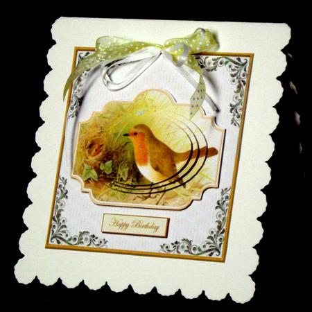 Robin Watching Her Baby Card with Topper by Dianne Jackson