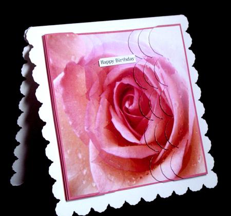 Pink Rose Close Up Scallop Side Stacker by Dianne Jackson