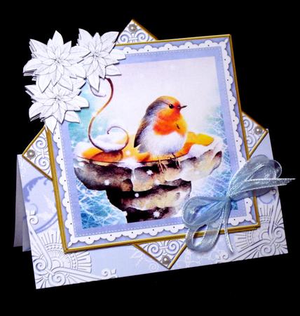 Blue Robin Poinsettia Diamond Mini Card Kit by Dianne Jackson