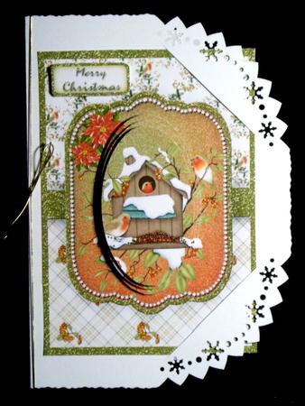 Robins in Birdhouse by Dianne Jackson