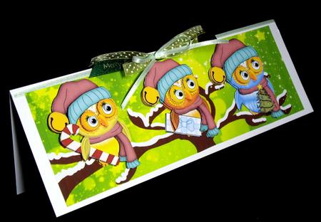 Three Owl Large Dl Christmas Card by Dianne Jackson