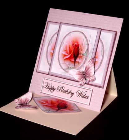 Peach Rose Script by Dianne Jackson