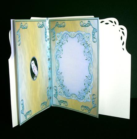 Barn Owl Insert by Dianne Jackson