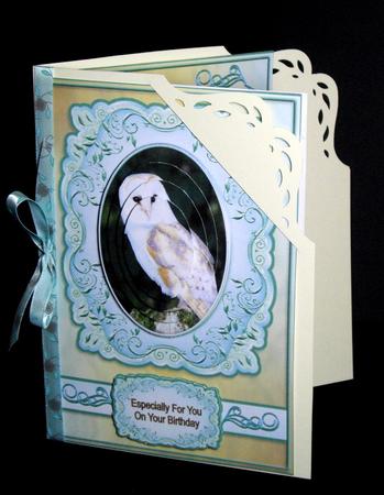 Barn Owl by Dianne Jackson