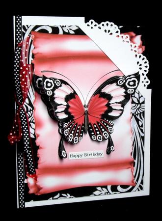 Black and Pink by Dianne Jackson