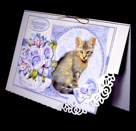 Kittens & Flower Baskets Aperture Mini Kit - Tabby Tina by Dianne Jackson
