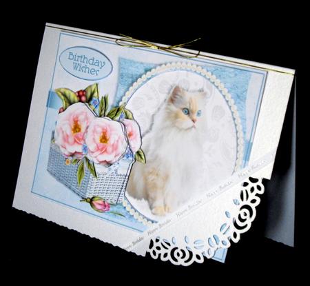 Kittens & Flower Baskets Aperture Mini Kit - Persian Susie by Dianne Jackson