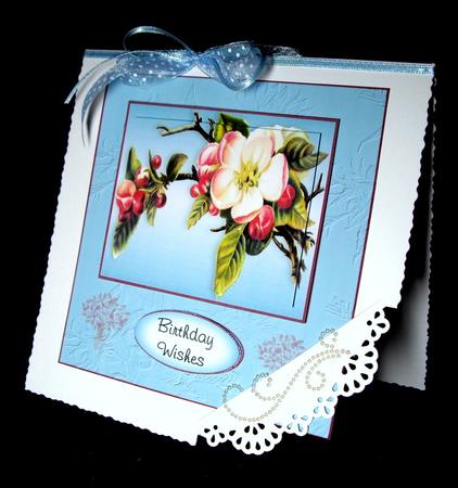 Apple Blossom by Dianne Jackson