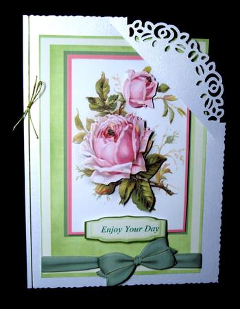 Beautiful Pink Cabbbage Roses by Dianne Jackson
