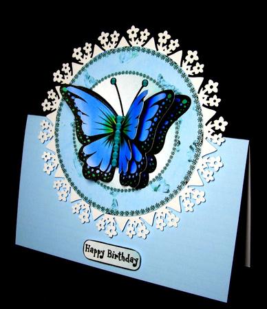 Blue Butterfly by Dianne Jackson