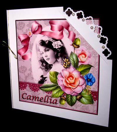 Camellia by Dianne Jackson